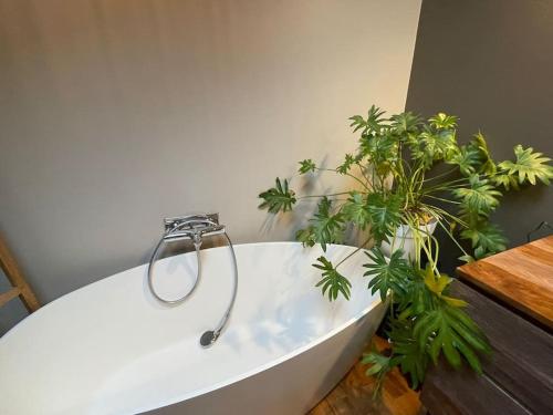 a white bath tub with plants in a bathroom at Loft mairie de Montreuil Paris in Montreuil