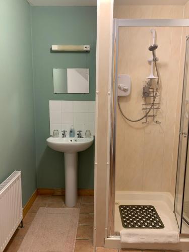 a bathroom with a sink and a shower at Bayview Country House B&B - F94 VK64 in Ardara