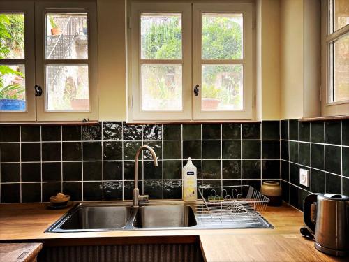 a kitchen with a sink and two windows at Maison Beurdelaine in Avallon