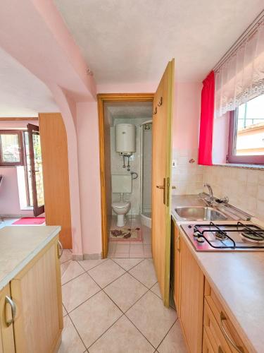 a kitchen with a sink and a toilet at Apartmani Mediteran in Vrh