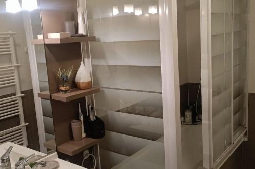 une salle de bain avec une douche avec un lavabo et un miroir dans l'établissement 2 chambres au pied du métro, à Maisons-Alfort
