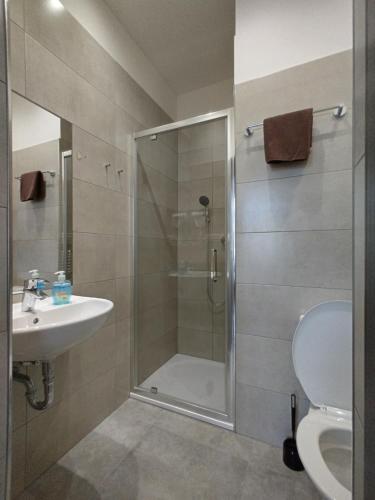 a bathroom with a shower and a sink and a toilet at Beta Pension in Prague