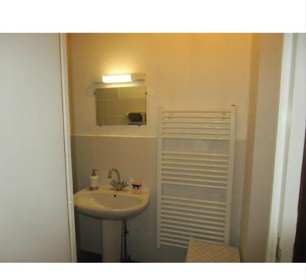 une salle de bain avec un lavabo et un miroir dans l'établissement Appart 2 pièces et jardin hyper centre ville, à Angers
