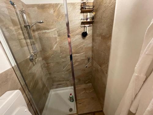 羅阿納的住宿－I Pascoli，带淋浴的浴室和玻璃门