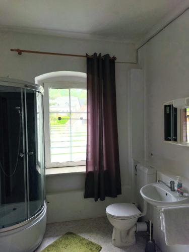 a bathroom with a shower and a toilet and a window at Gasthof Oberschmiede in Auf der Wiese