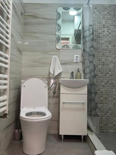 a bathroom with a toilet and a sink and a mirror at Cluj Home due in Cluj-Napoca