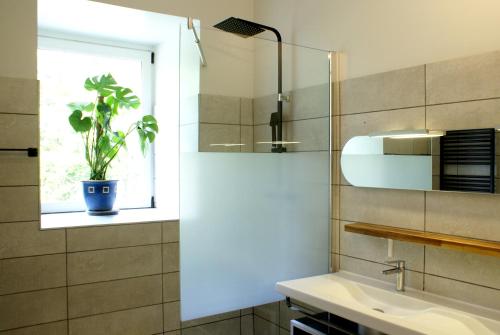 uma casa de banho com um lavatório e um vaso de plantas numa janela em Manoir de la Haute Couplais em Romille