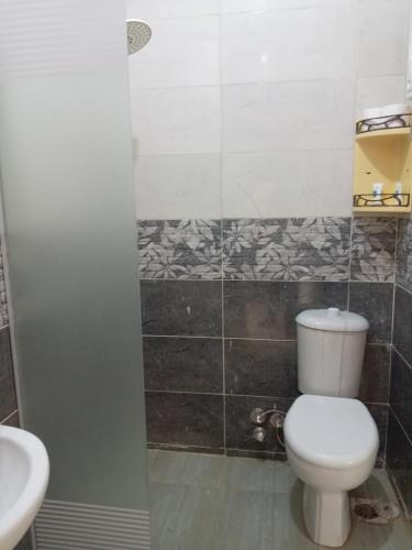 a bathroom with a toilet and a sink at Grensha Pyramids inn in Cairo