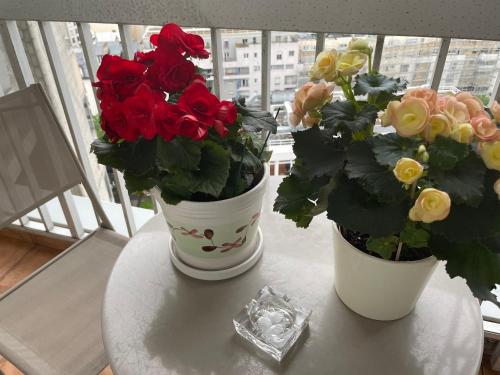 Photo de la galerie de l'établissement Chambre chez l'habitant avec Salle de bain à partager - homestay, à Paris