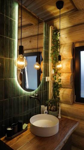 a bathroom with a white sink and a mirror at Cabana de Bușteni in Eşelniţa