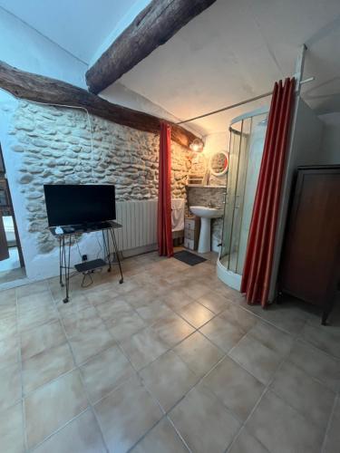 a living room with a television and a stone wall at Maison du Fenouillet in Saint-Gervais-sur-Roubion