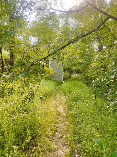 a dirt path in the middle of a field with trees at Cabane dans les bois in Sumène
