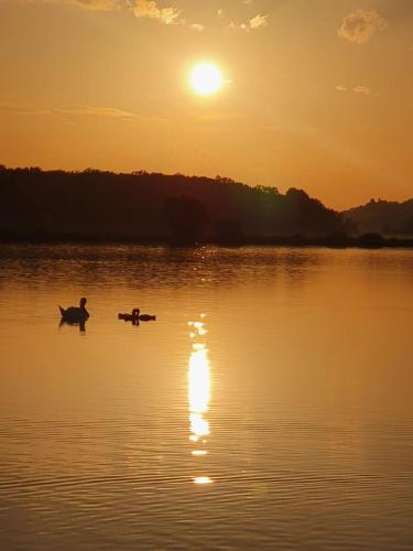 a man in a boat on a lake at sunset at Prenočišče ČERNOŠA Apartma Studio in Gradišče v Slovenskih Goricah