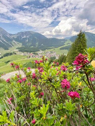 a bunch of pink flowers on top of a mountain at Gästehaus Bergland in Berwang