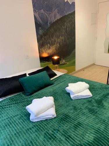 a green bed with two white towels on it at Esprit Espagne, joli studio au coeur de Mulhouse in Mulhouse