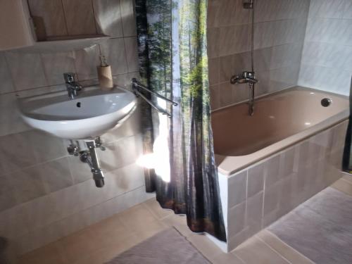 a bathroom with a sink and a bath tub at Ferienzimmer Kefeder in Lochenhaus
