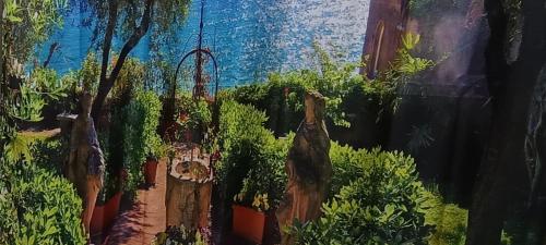 BIG PENTHOUSE ATICo photo 21