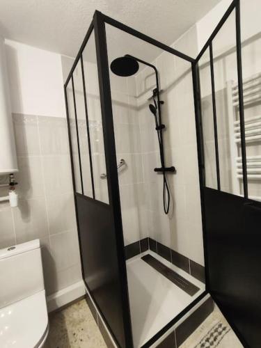 une douche avec une porte vitrée à côté des toilettes dans l'établissement CAP D AGDE, T2 loggia, 4 pers, plage MOLE 300m, au Cap d'Agde