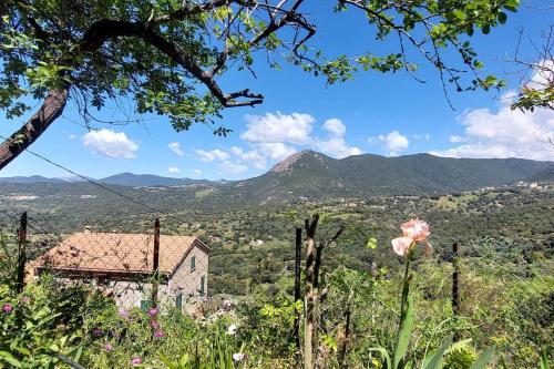 une maison sur une colline avec des montagnes en arrière-plan dans l'établissement Usupranu Maison de village à 15 mn de la mer, à Sari-dʼOrcino
