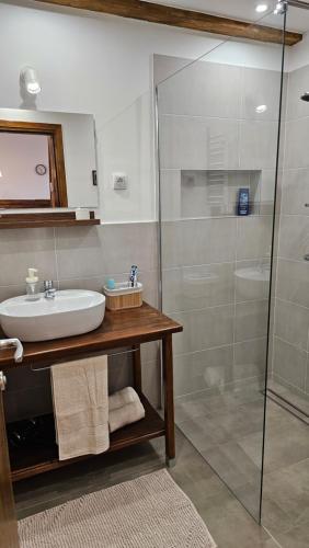 a bathroom with a sink and a shower at Apartments Beck - Super Central in Sombor