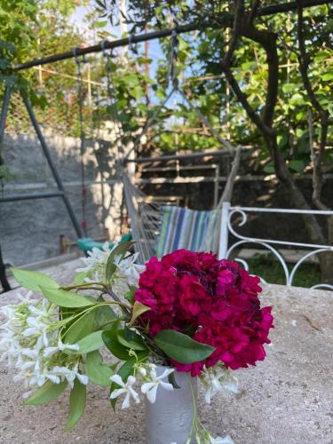 a vase filled with red and white flowers on a table at Vila Nela in Shkodër