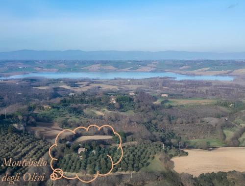 an aerial view of a house on a hill with a lake at Montebello degli Olivi in Chiusi