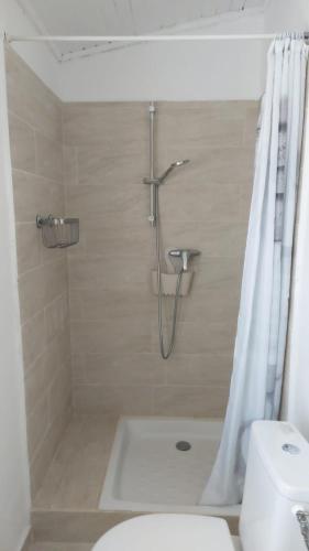 La salle de bains est pourvue d'une douche, de toilettes et d'un rideau de douche. dans l'établissement **** VERY CENTRAL Ajaccio 36 rue Fesch, cosy flat in city center pedestrian street, up to 4 people ****, à Ajaccio
