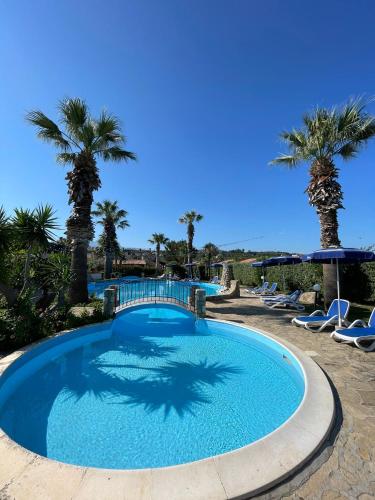a large swimming pool with palm trees and chairs at Soleada Club in Campofelice di Roccella