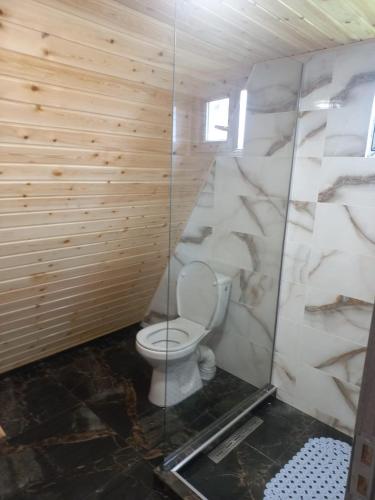 a bathroom with a toilet and a glass shower at Aframe Bradu in Bradu