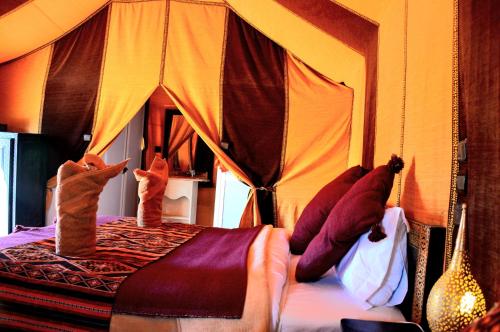 two cats standing on top of a bed at Merzouga Paradise Luxury Camp in Merzouga