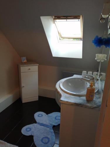 une salle de bain avec un lavabo et des ours en peluche sur le sol dans l'établissement zénitude, à Saint-Ouen-du-Mesnil-Oger