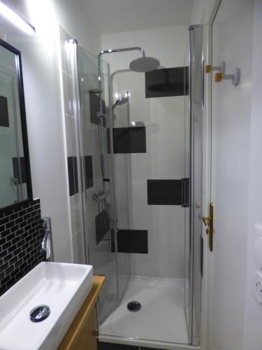 a bathroom with a shower and a sink at Studio centre ville Châteauroux in Châteauroux