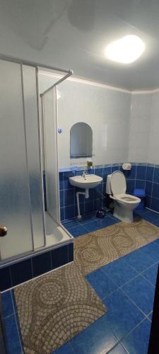 Vonios kambarys apgyvendinimo įstaigoje U Nazara