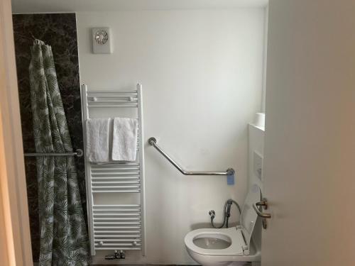 La petite salle de bains est pourvue d'une douche et de toilettes. dans l'établissement Cosy, à Malines