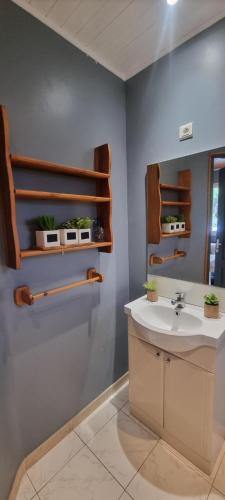 une salle de bain avec un lavabo et un miroir dans l'établissement Résidence bord de mer I Querci, à Poggio-Mezzana