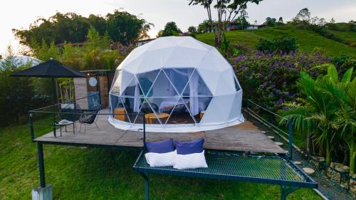 a dome tent on a table in a garden at Ecohotel Monte Tierra Habitaciones y Glamping in Filandia