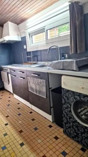 une cuisine avec un évier et un lave-vaisselle dans l'établissement Le refuge boisé, à Mimizan