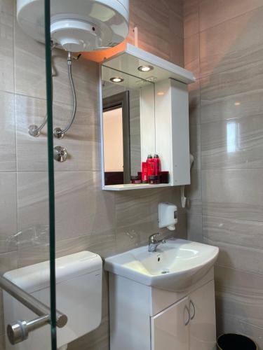 y baño con lavabo, espejo y aseo. en Villa Ivanovic, en Budva