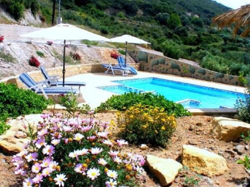 a swimming pool with chairs and flowers in a yard at Terramara in Nohia