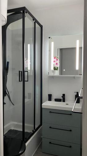 une salle de bain avec douche et lavabo dans l'établissement Studio Village Naturiste, au Cap d'Agde