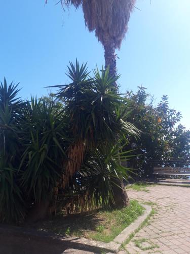 Jardín al aire libre en DONNA MERCEDE