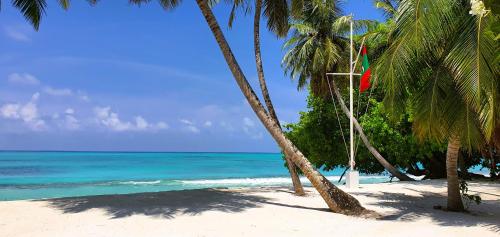 a beach with two palm trees and the ocean at The Fulhadhoo Beach Cottage in Fulhadhoo