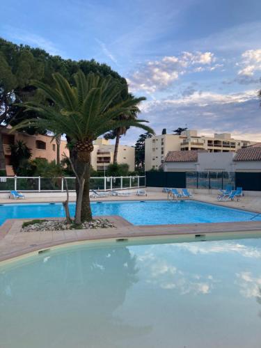 Photo de la galerie de l'établissement Superbe F2 refait a neuf à deux pas des plages de sable, à Vallauris