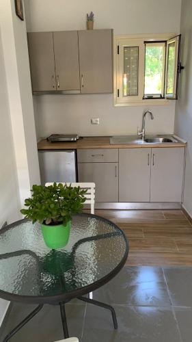 Kuchyň nebo kuchyňský kout v ubytování Hotel Vila Andi