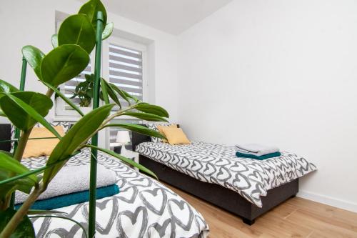a bedroom with two beds and a plant at Apartament Zachodnia Residents in Chełm