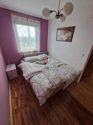 um quarto com 2 camas e uma janela em Vineyard Holidays Cottage with Jacuzzi em Metlika