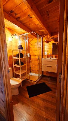 a small bathroom with a toilet and a shower at CabanaLanz, Cabañas en Lanzarote in San Bartolomé