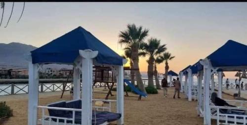 アインソフナにあるشاليه بقريه بلومار وادي الدوم العين السخنهの浜辺の青白傘