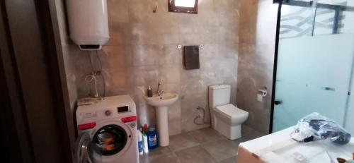 a bathroom with a washing machine and a toilet at Kozalak Forest Mansion in Akcaabat