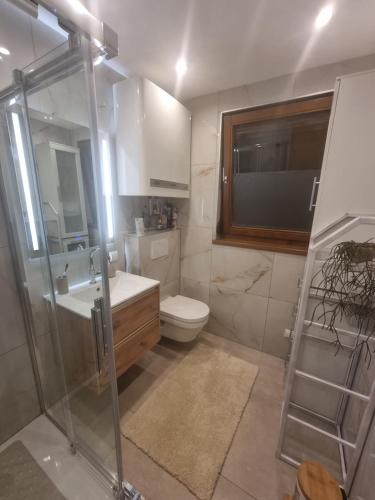 a bathroom with a shower and a toilet and a sink at Haus Flora - Ferienwohnung Bodensdorf in Bodensdorf